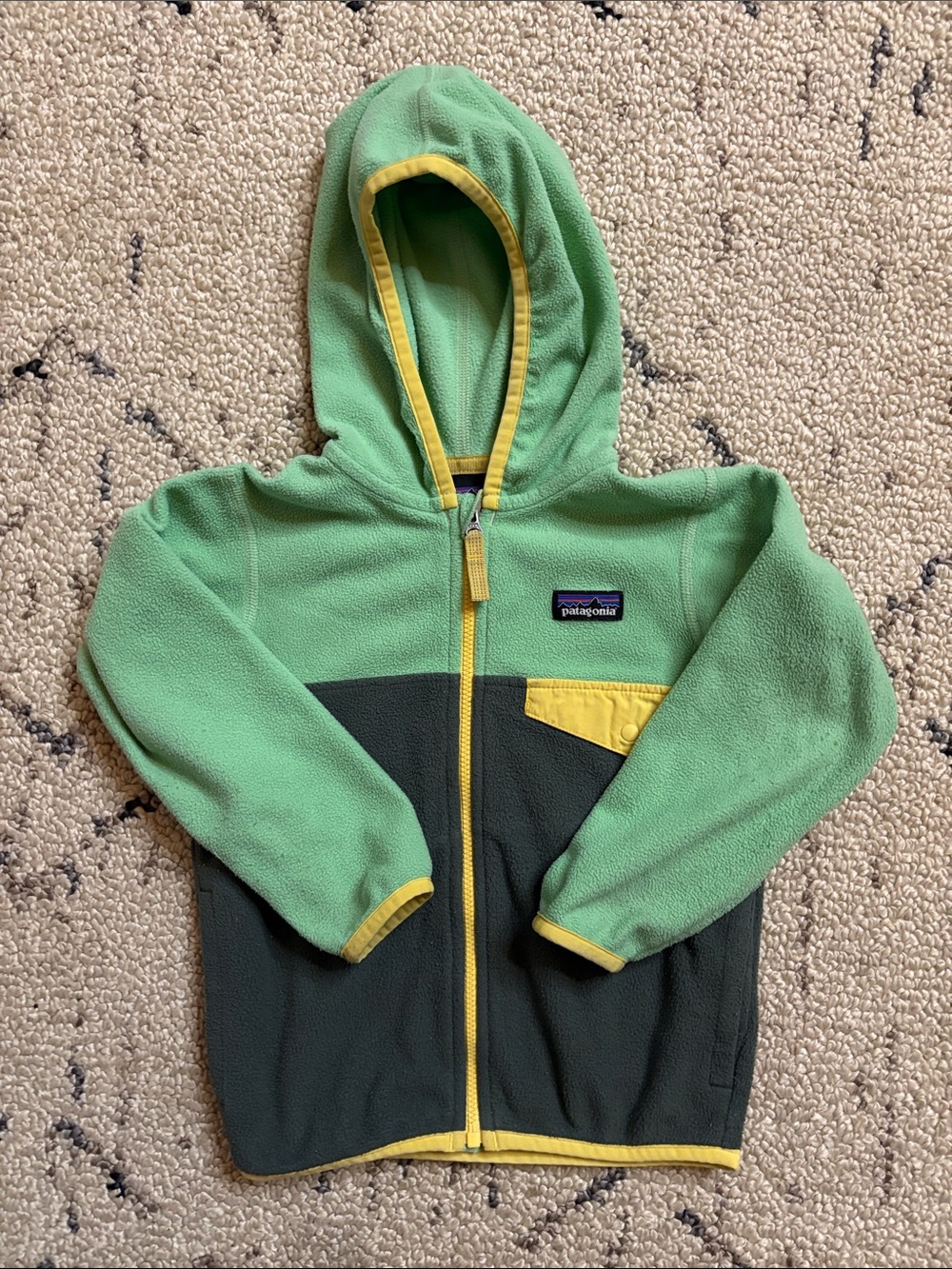 Patagonia Kids Fleece jacket (3T)